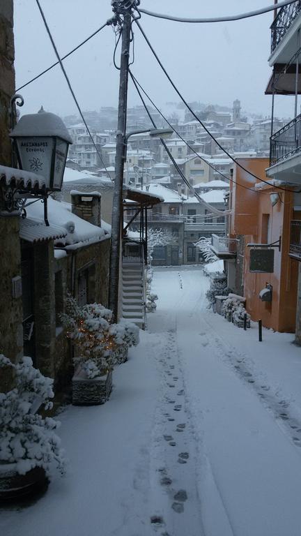 Alexandros Guesthouse Arachova Buitenkant foto