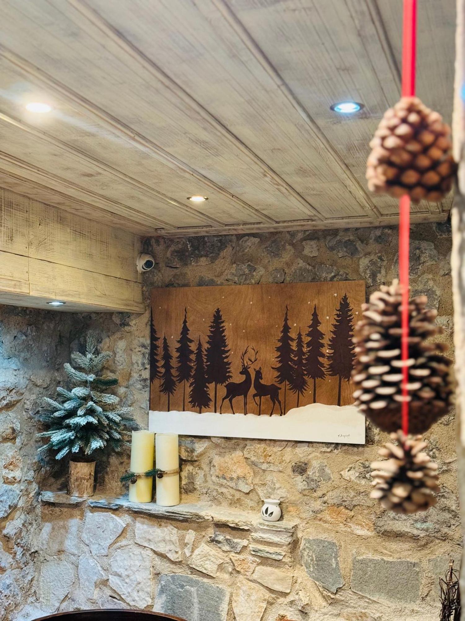 Alexandros Guesthouse Arachova Buitenkant foto
