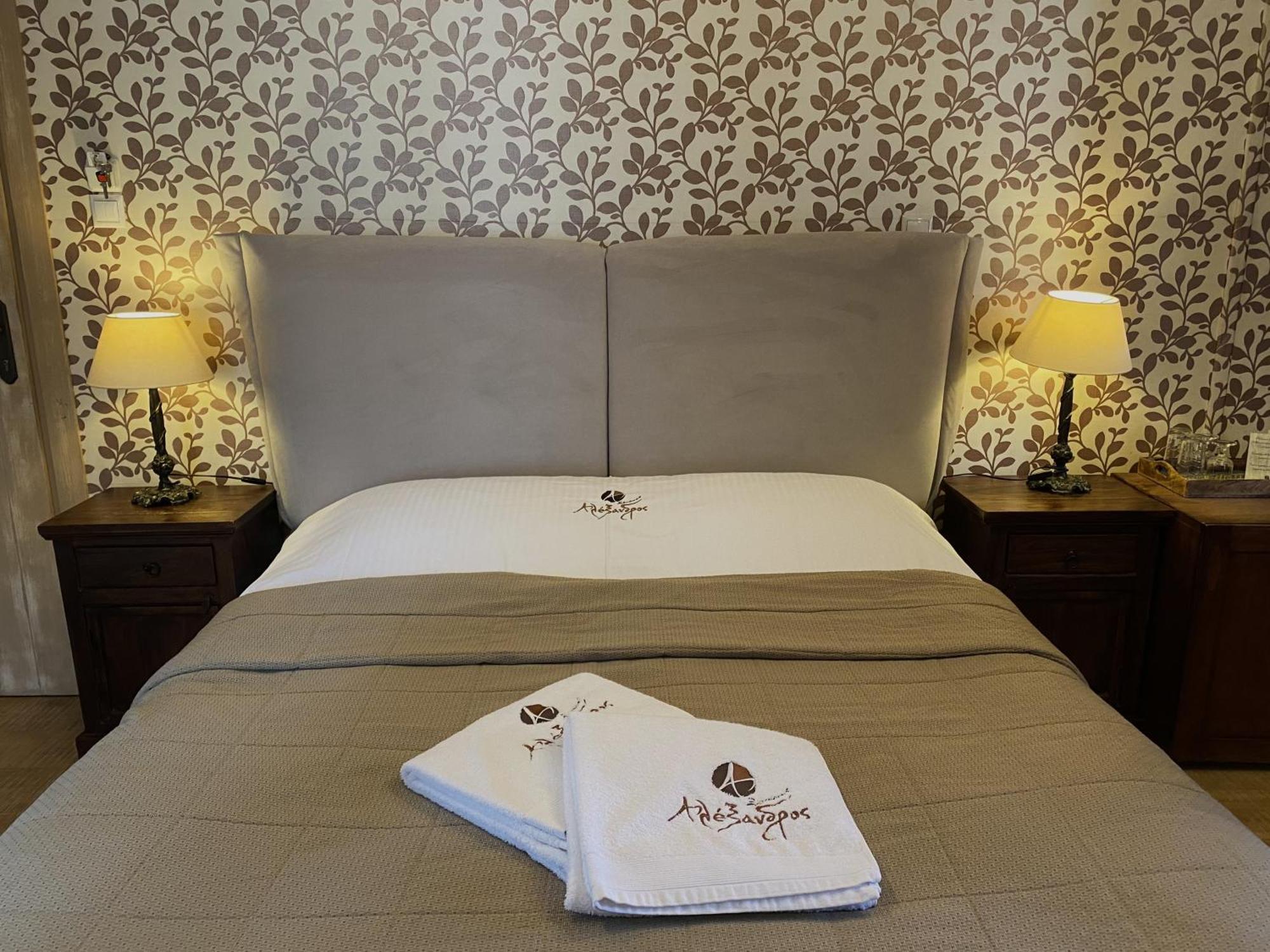Alexandros Guesthouse Arachova Buitenkant foto